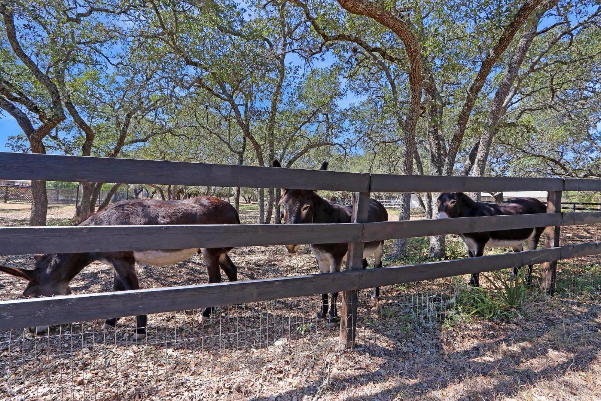 Red Donkey Cottage Wimberley Bagian luar foto